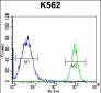 PTMS Antibody (C-term)